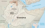 Éthiopie : escalade militaire au Tigré