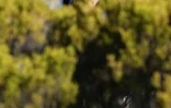 Grand raid 2008 -