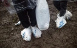 Des migrants attendent d'entrer en Croatie dans la ville serbe de Berkasovo, le 19 octobre 2015, en tendant de se couvrir les pieds avec des sacs