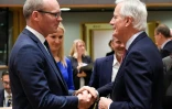 Le négociateur en chef de l'UE sur le Brexit, Michel Barnier (d), avec le ministre irlandais des Affaires étrangères Simon Coveney à Bruxelles, le 12 novembre 2018