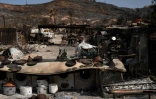 Des poteries dans la cour d'une maison située dans un paysage calciné sont visibles après un incendie de forêt ayant coûté la vie à au moins 12 personnes, à Bedar (province d'Almería), le 11 juillet 2026