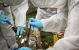 Des étudiants de l'école CY Forensic prélèvent un échantillon d'empreinte digitale sur une bouteille lors d'une session de formation sur la reconstitution d'une scène de crime à Neuville-sur-Oise, au nord-est de Paris, le 21 mars 2025 dans le Val d'Oise