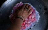 Ariana Nikolla prépare de l'eau de rose de manière traditionnelle à Përmet, le 28 mai 2025 en Albanie