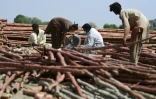 Des ouvriers utilisent des bambous pour construire des huttes résistantes aux inondations, le 9 avril 2023 à Tando Allahyar, au Pakistan