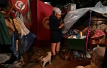 Leila protège son lit avec une bâche en plastique dans son abri en carton où elle dort avec ses chiens, le 26 janvier 2024 à Tunis