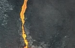 Lundi 15 Décembre 2008


Le piton de la Fournaise est entré en éruption vers 2 heures 45 ce lundi 15 décembre
 2008