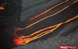 Lundi 15 Décembre 2008


Le piton de la Fournaise est entré en éruption vers 2 heures 45 ce lundi 15 décembre
 2008