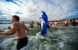 Des personnes plongent dans l'eau glacée du port de Boston, le 1er janvier 2024