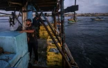 Le pêcheur palestinien Mohammed al-Nahl (c) et son convoi de barques rentre au port de Gaza après une nuit de pêche, le 22 septembre 2021