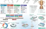 Présentation de la Coupe du monde de rugby 2019 au Japon