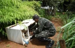 Des militaires brésiliens inspectent les pots de fleurs à la recherche des larves de moustiques susceptibles de transmettre le virus Zika à Brazlandia, à 45 km au nord-ouest de Brasilia, le 15 février 2016