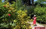 Jardin dEden à la Saline les Bains