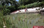 Jardin dEden à la Saline les Bains