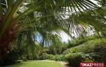 Jardin dEden à la Saline les Bains