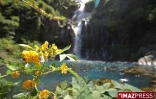 Bassins de la ravine Saint Gilles