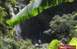 Bassins de la ravine Saint Gilles