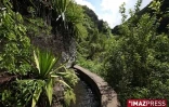 Bassins de la ravine Saint Gilles