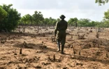 Mwalim Salim, un éclaireur de l'unité de protection des forêts, passe devant des mangroves coupés près de la rivière Sabaki, à Malindi, le 10 février 2022.