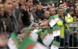 Des supporters algériens regardent le match de la CAN face à la Tunisie, le 17 janvier 2017 à Algers