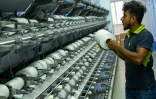 Un travailleur place une bobine de fil de nylon fabriqué à partir de bouteilles en PET recyclées dans l'usine d'Eco Spindles, le 16 juin 2023 à Horana (Sri Lanka)