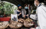 Sur le marché de la ferme communautaire de Mapopo, à Hong Kong le 18 mars 2020