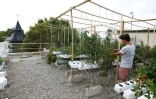 Un employé de la start-up Aeromate surveille les plantations de légumes et d'herbes aromatiques sur le toit d'un bâtiment de la RATP à Paris le 24 août 2017