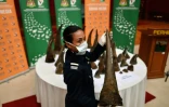 Saisie à Kuala Lumpur le 20 août 2018 de cornes de rhinocéros qui devaient être expédiés vers le Vietnam.