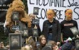 Manifestation à proximité de Strasbourg pour réclamer la fermeture d'un centre universitaire de primatologie, qui réalise des études sur des singes, le 20 octobre 2019  