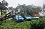 Une rue de Miami après le passage de l'ouragan Irma, le 10 septembre 2017