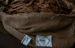 Du tabac séché en salle des ventes à Lilongwe, au Malawi, le 20 avril 2022