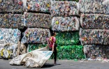 Des piles de bouteilles en plastique compressées dans un centre de recyclage à Barva, au Costa Rica, en juin 2018