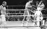 George Foreman (gauche) face à Mohamed Ali à Kinshasa lors de leur combat légendaire du 30 octobre 1974
