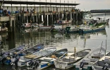 Des bateaux amarrés au terminal de pêche de la ville de Panama, le 24 septembre 2026