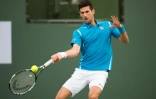 Novak Djokovic au tournoi d'Indian Wells, en Californie, le 13 mars 2016