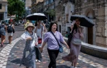 Des touristes se protègent du soleil avec des ombrelles dans une rue d'Athènes, le 12 juillet 2023 lors d'une vague de chaleur en Grèce