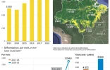 Déforestation de l'Amazonie brésilienne