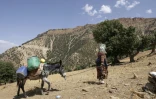 Une habitante du hameau d'Imzerri, le 19 août 2025 dans les montagnes de l'Atlas, au Maroc