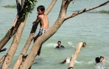 De jeunes Irakiens du camp d'Al-Khazir nagent dans la rivière entre Arbil et Mossoul, le 11 juin 2017