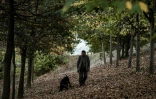 Giovanni Monchiero entraîne le chien Rocky à trouver des truffes, le 24 octobre 2018 dans les bois de Roddi, en Italie