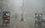 Une rue de New Delhi lors d'un pic de pollution, le 8 novembre 2017 en Inde