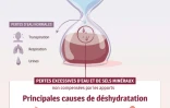 Principales causes de déshydratation