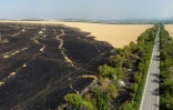 Vue aérienne de champs de blés incendiés après une frappe aérienne russe près de Siversk, dans la région de Donetsk (est de l'Ukraine), le 8 juillet 2022