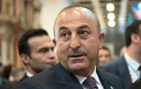 Le ministre des Affaires étrangères turc, Mevlut Cavusoglu, le 8 mars 2017  à Berlin
