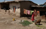 Une femme suspend du linge, dans un camp de la région de Khatlon, au Tadjikistan, le 8 avril 2016