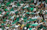 Les supporters algériens au Caire lors de la qualification en finale de la CAN le 14 juillet 2019