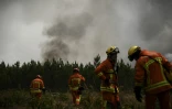 Des pompiers sur le site d'un incendie près de Saint-Magne, le 11 août 2022 en Gironde