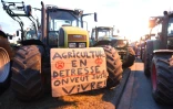 Des agriculteurs bloquent l'accès au siège du groupe agroalimentaire Lactalis à Change dans le nord-ouest de la France le 25 août 2016