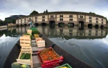 Christophe Moegling dans sa barque à fond plat sur la rivière de l'Ill à Strasbourg (est), le 6 septembre 2017