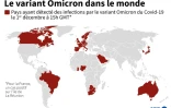 Le variant Omicron dans le monde