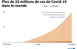 Plus de 20 millions de cas de Covid-19 dans le monde